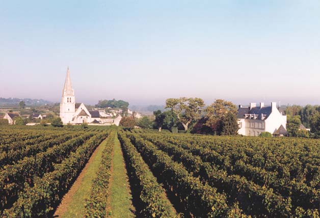 Château de Villeneuve